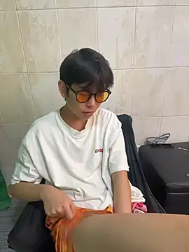 DDD_17 Show Webcam