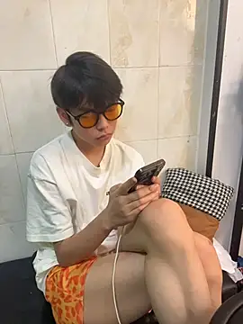 DDD_17 Show Webcam