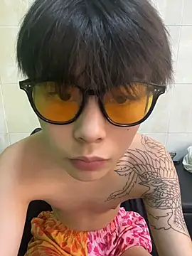 DDD_17 Show Webcam