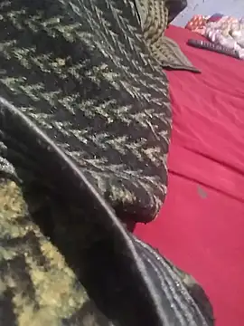Casal_Putuaria_Brazilianのウェブカメラショー
