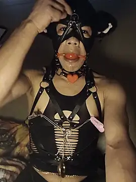 Sumipirsitosn Webbikameraesitys