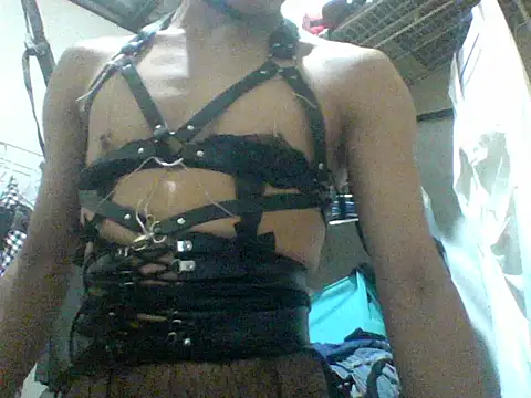 Sumipirsitos Webcam-Show