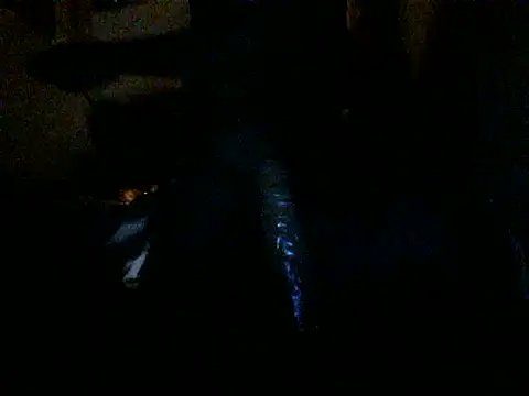 Show de webcam de Sumipirsitos