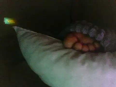 Sumipirsitos Webcam Show