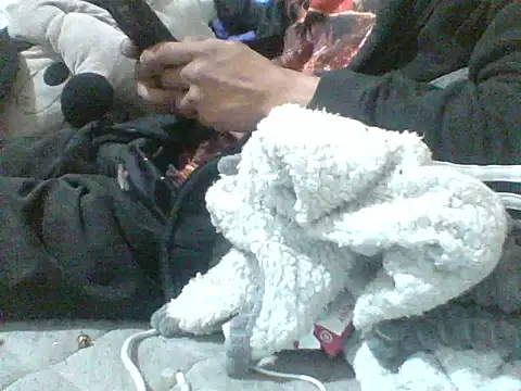 Sumipirsitosn Webbikameraesitys