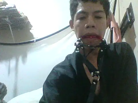 Show de Sumipirsitos na webcam