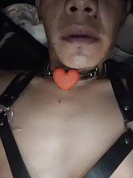 Show Webcam de Sumipirsitos