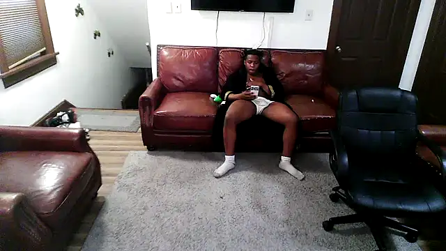 Dickbrickblackn Webbikameraesitys