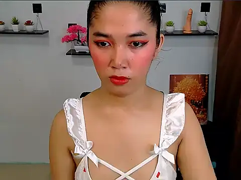 AlaraGrey_n Webbikameraesitys
