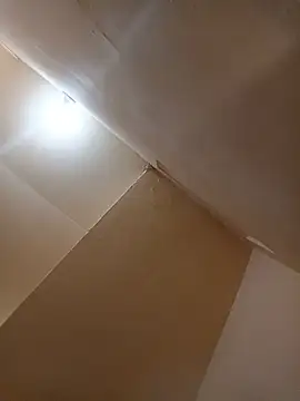 curvobign Webbikameraesitys