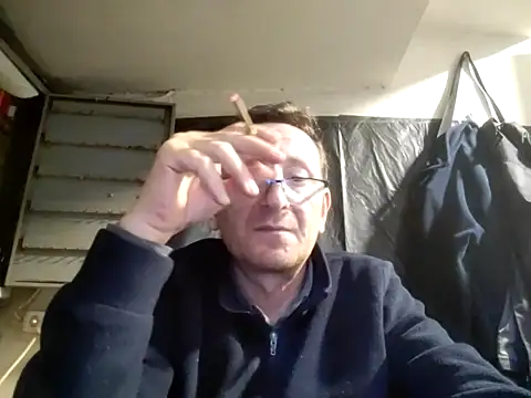 tilkiselim webcam show