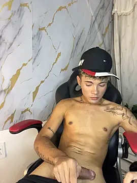 Show Webcam de NaimVoss