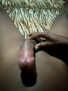 Show Webcam de comedordecasadass