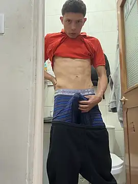 Show webcam de Santiago27x
