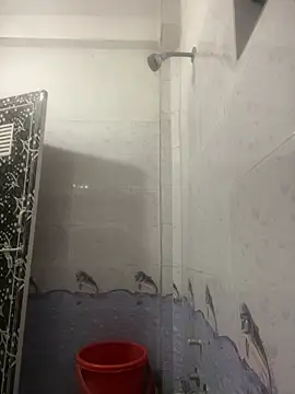 Show de webcam de nodiingscropin