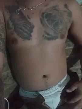 wasak87 网络视讯表演