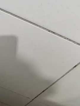 gferraz23 Webcam-Show