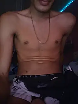 NJSBn Webbikameraesitys