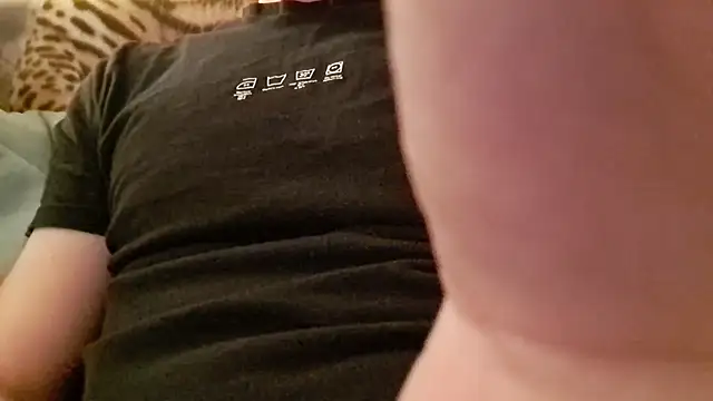 passangers_ Webcam-Show