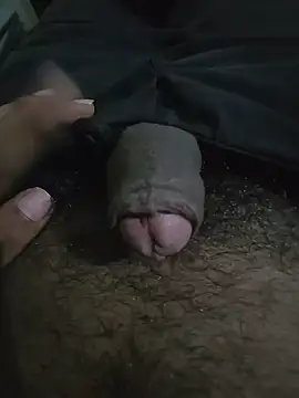 Show webcam de Wyldman_69