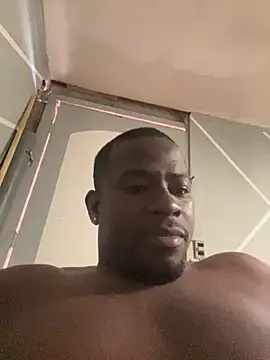 elfigue Webcam show