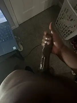 03BBC Webcam-Show