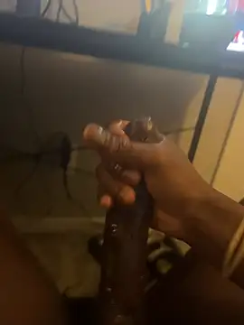 03BBC Webcam-Show