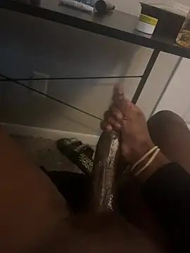 03BBC Show in webcam