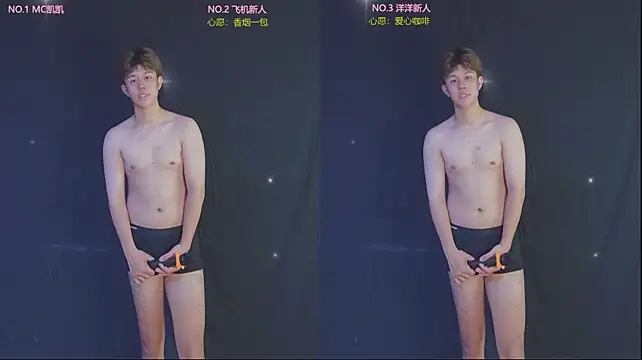 Lv-8888 Show Webcam