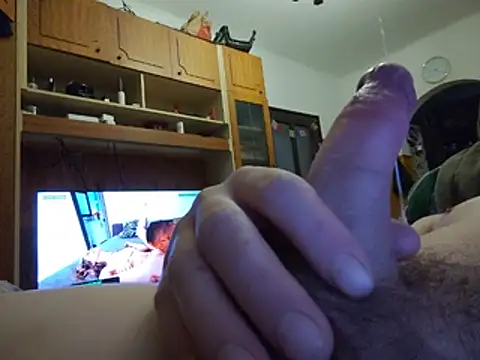 dinomdanom Webcamshow