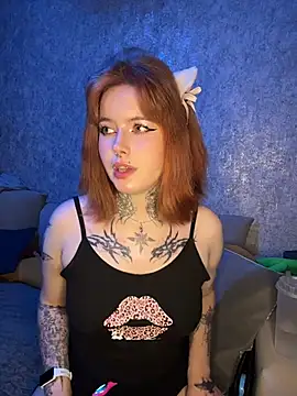 Show webcam de plombeer