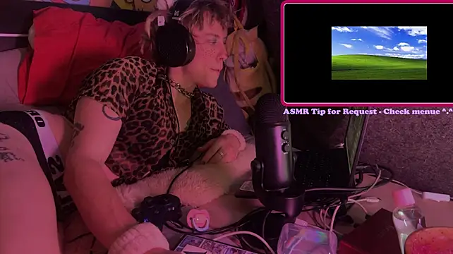 Show Webcam de Stray_Kitty