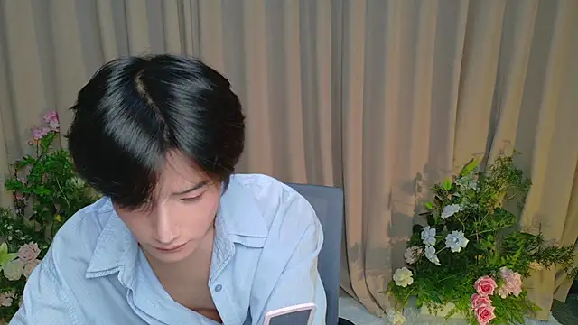 Lumi-ya Show Webcam