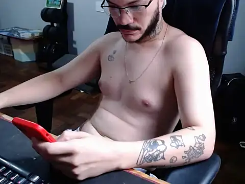 PicaPaaun Webbikameraesitys