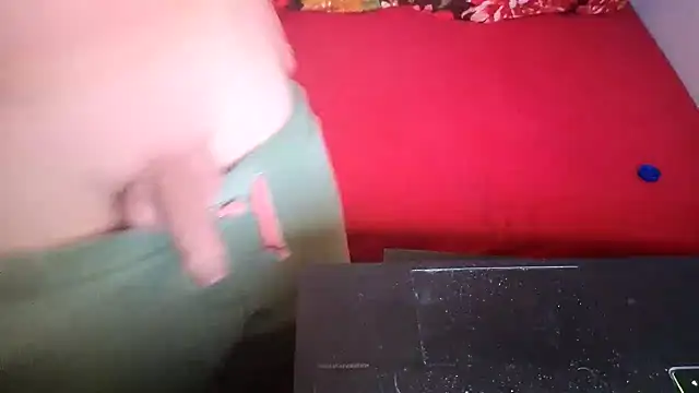 Viezesteen webcam show