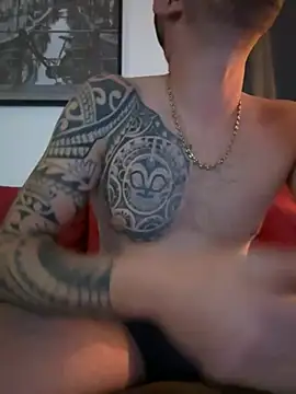 Show webcam de Dream580