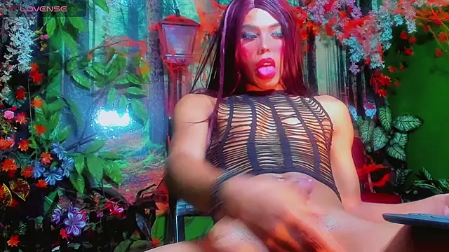 Webkamerová show sammy_latyn_