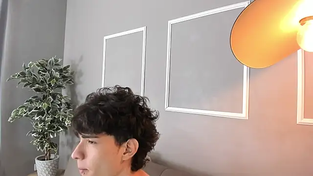 Phineas_Flynn_ Webcam show