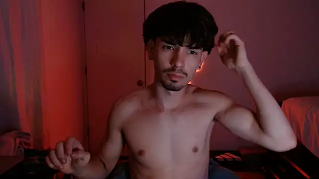 landedhighn Webbikameraesitys