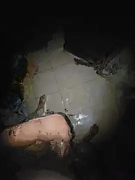 arabicdick7 웹캠 쇼