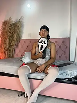 rick_sansn Webbikameraesitys