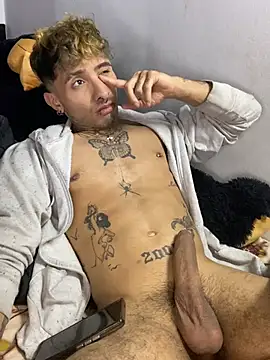 Show de Artpol_nex na webcam