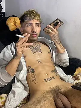 Artpol_nex webcam show
