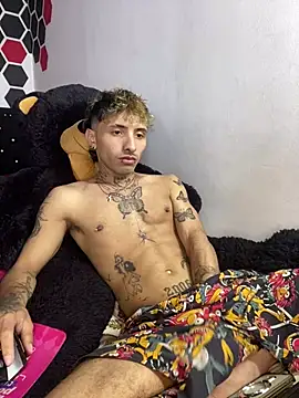 Artpol_nex Webcam-Show