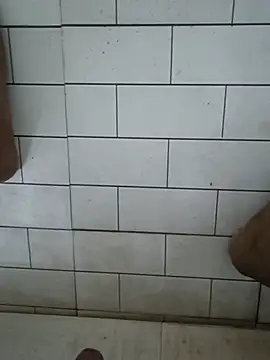 הופעת וובקאם של minisuchga