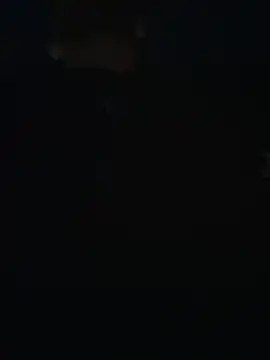 Latinofit Webcam-Show