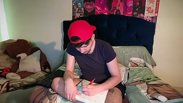Show webcam de damon_333