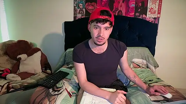 damon_333n Webbikameraesitys
