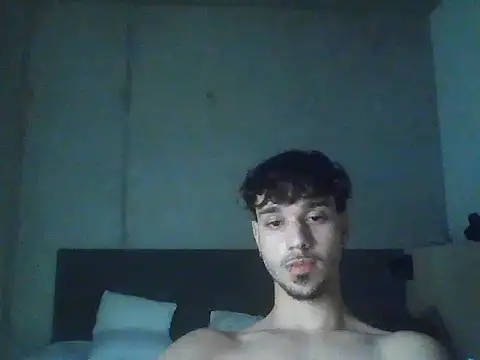 fbartuzn Webbikameraesitys