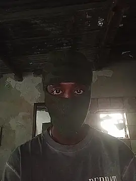 hole_fillerModel 网络视讯表演